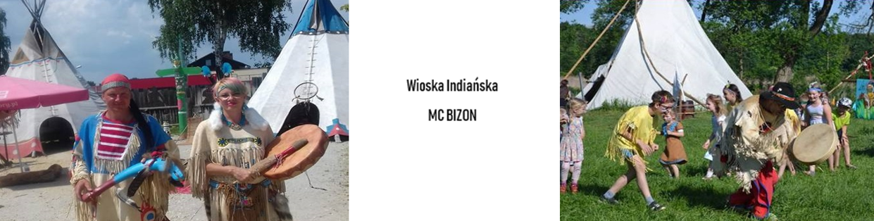 bizon bizon