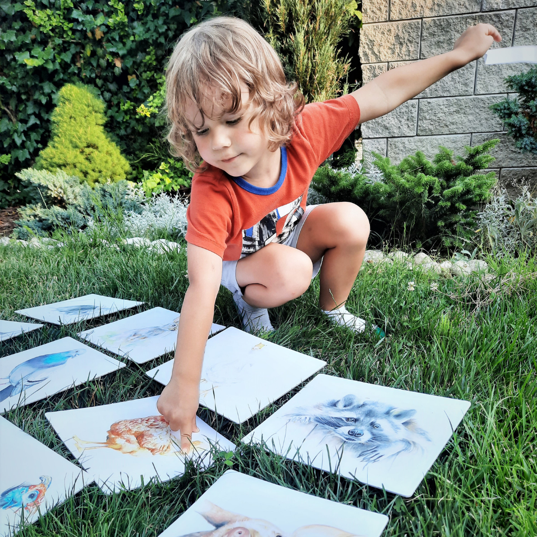 Karty edukacyjne Karty edukacyjne